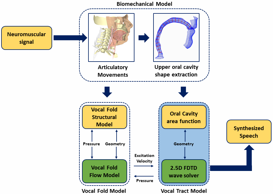 Articulatory-to-Acoustic modelling pipeline