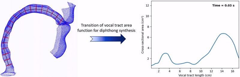Dynamic vocal tract area function transition